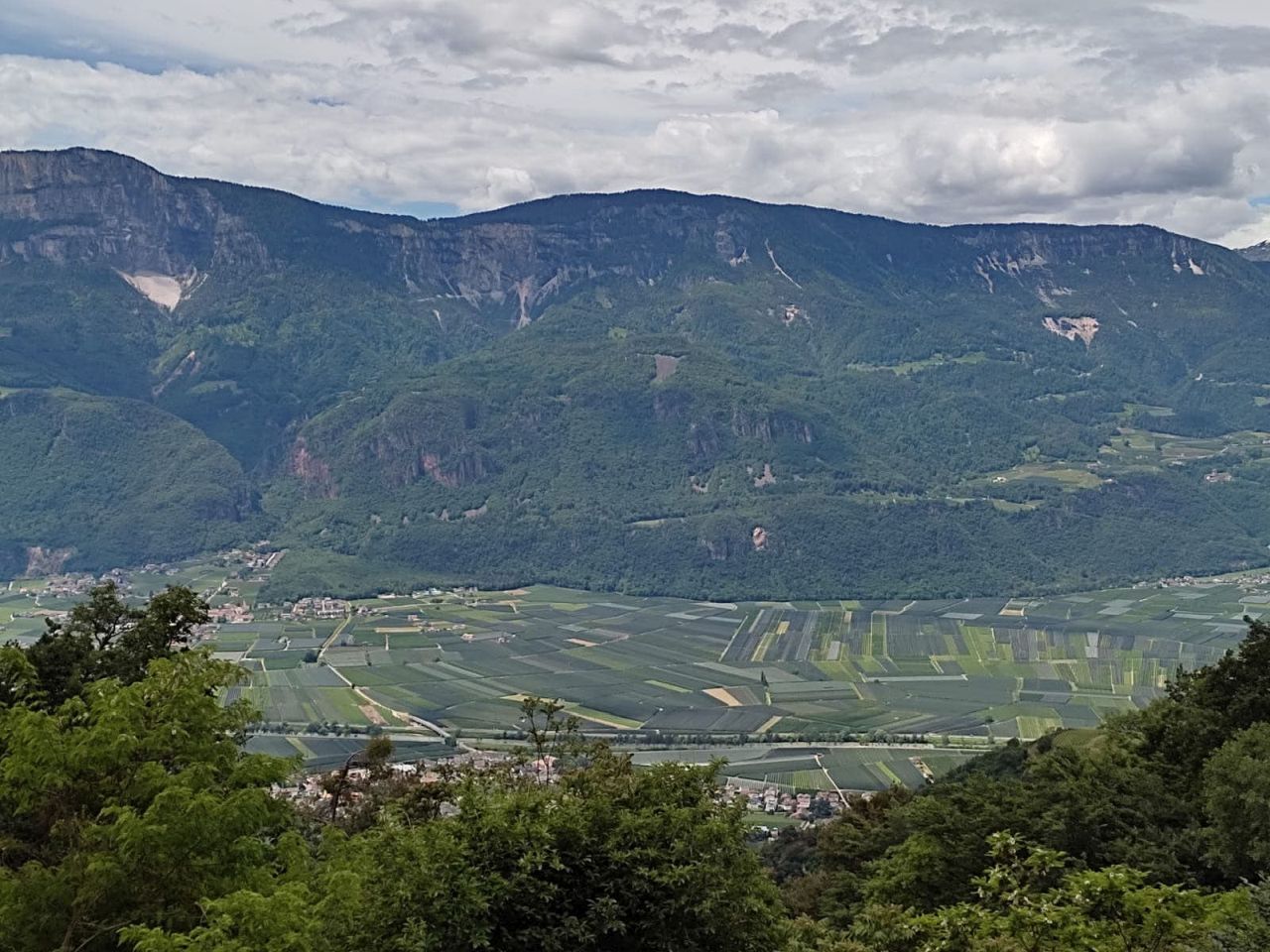 IMG-20210619-WA0012